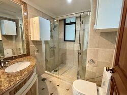 Valley Park (D10), Condominium #559705171